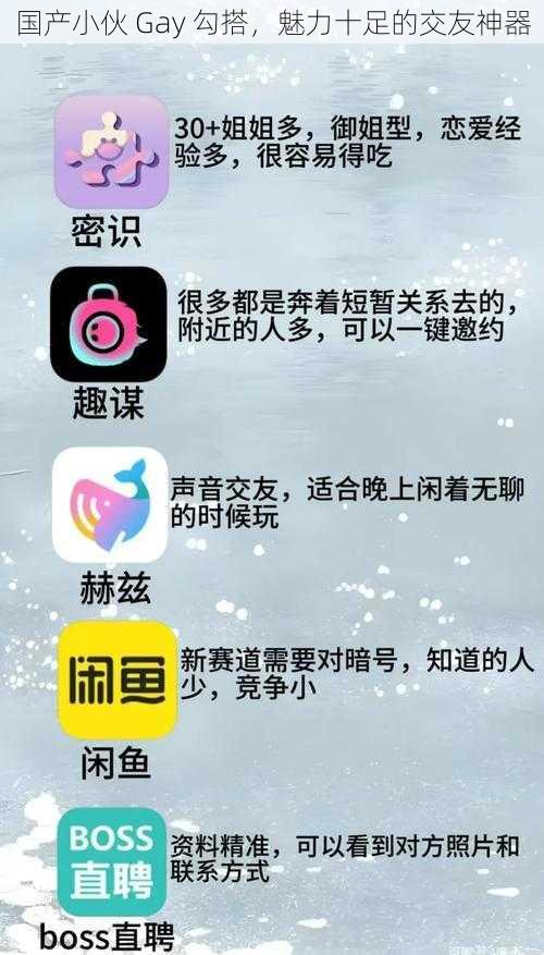 国产小伙 Gay 勾搭,魅力十足的交友神器