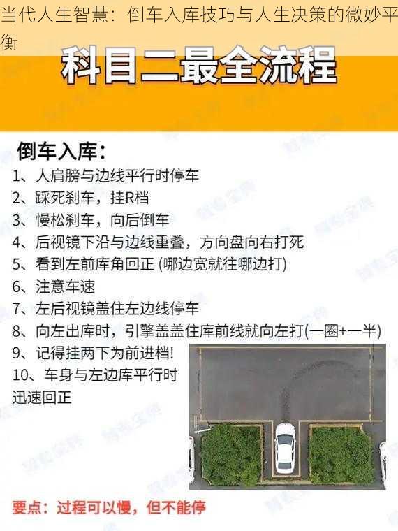 当代人生智慧:倒车入库技巧与人生决策的微妙平衡