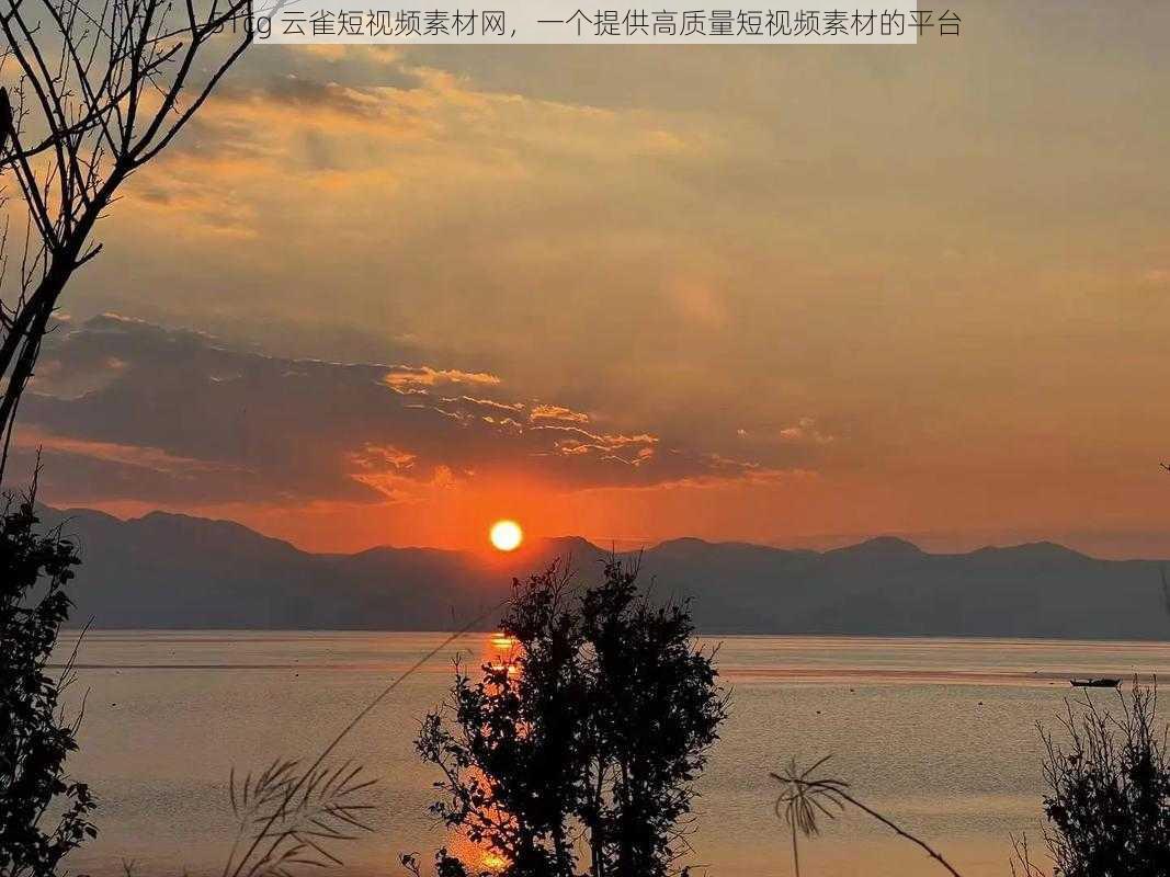 51cg 云雀短视频素材网,一个提供高质量短视频素材的平台