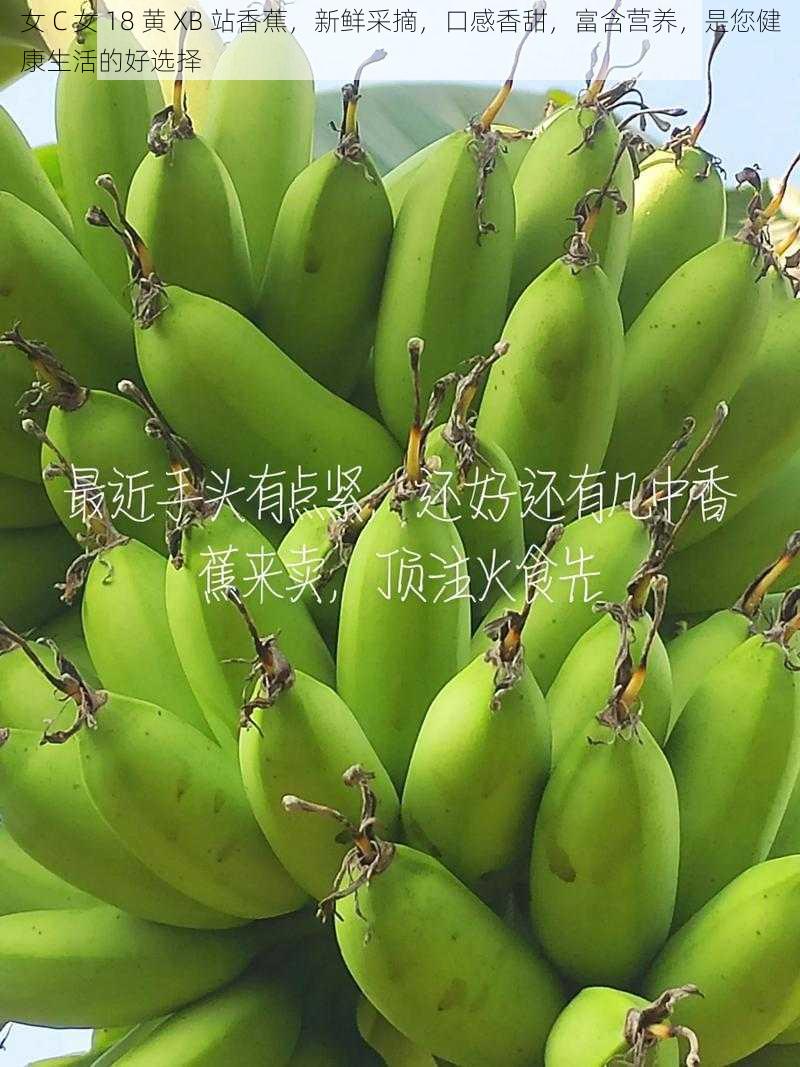 女 C 女 18 黄 XB 站香蕉,新鲜采摘,口感香甜,富含营养,是您健康生活的好选择