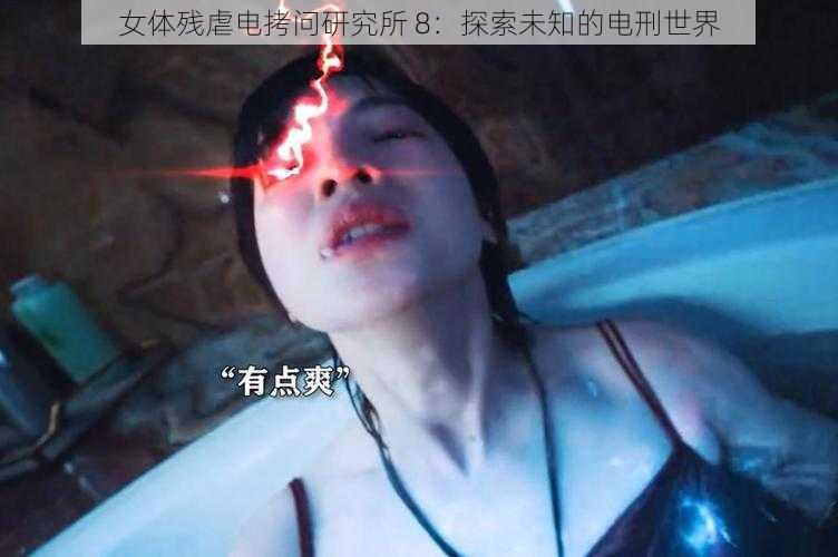 女体残虐电拷问研究所 8:探索未知的电刑世界
