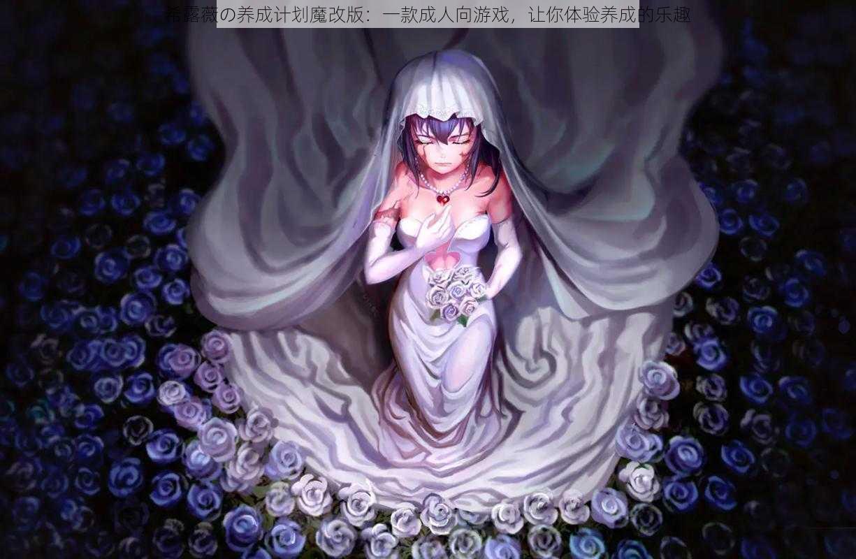 希露薇の养成计划魔改版:一款成人向游戏,让你体验养成的乐趣