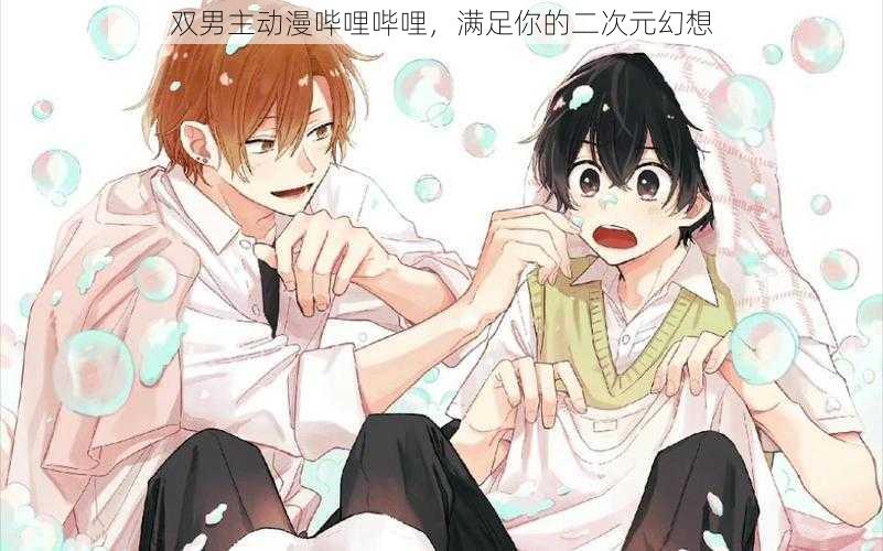 双男主动漫哔哩哔哩,满足你的二次元幻想