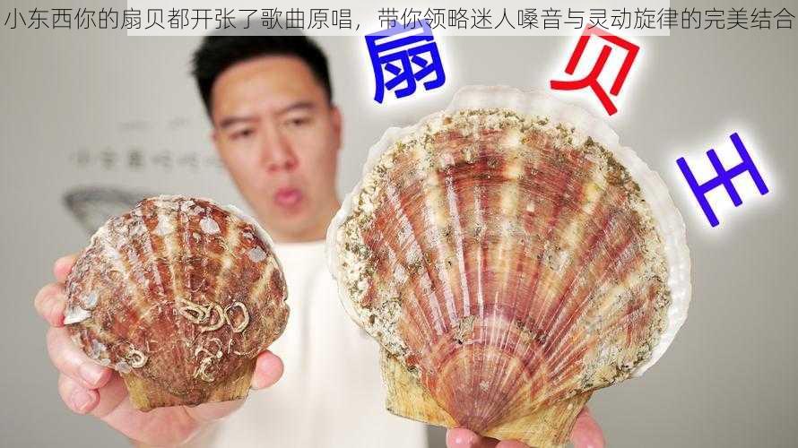 小东西你的扇贝都开张了歌曲原唱,带你领略迷人嗓音与灵动旋律的完美结合
