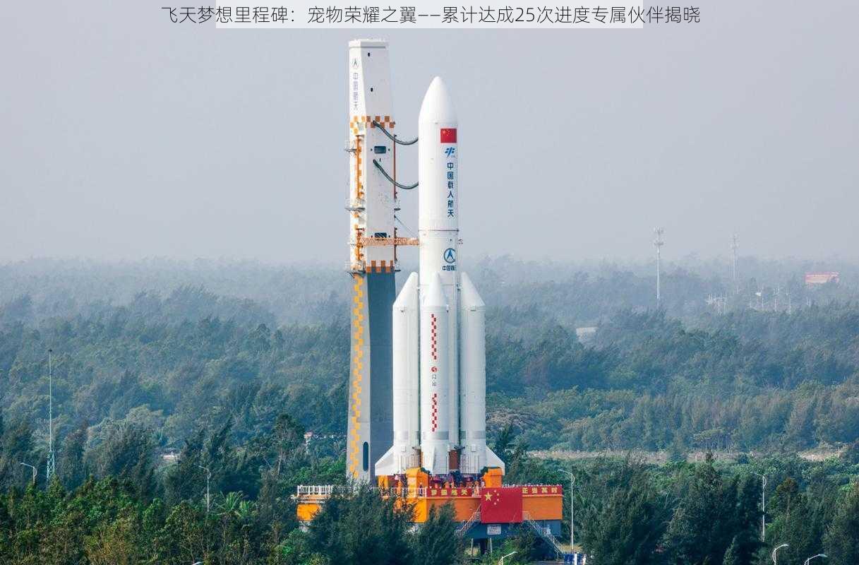 飞天梦想里程碑:宠物荣耀之翼——累计达成25次进度专属伙伴揭晓