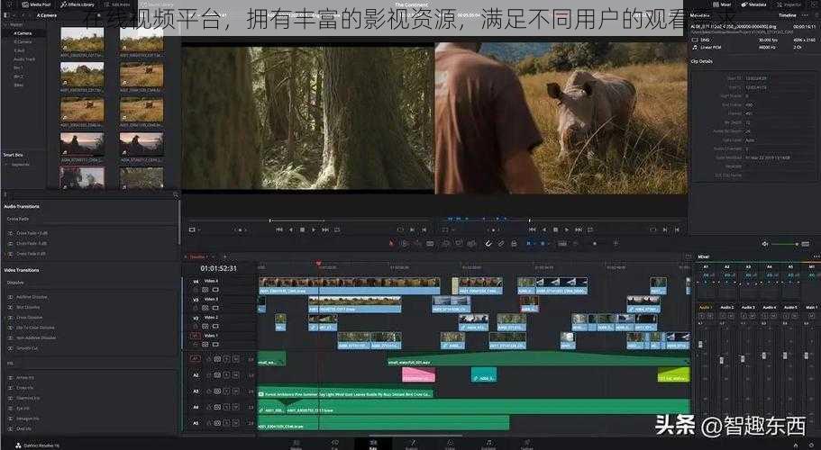 在线视频平台,拥有丰富的影视资源,满足不同用户的观看需求