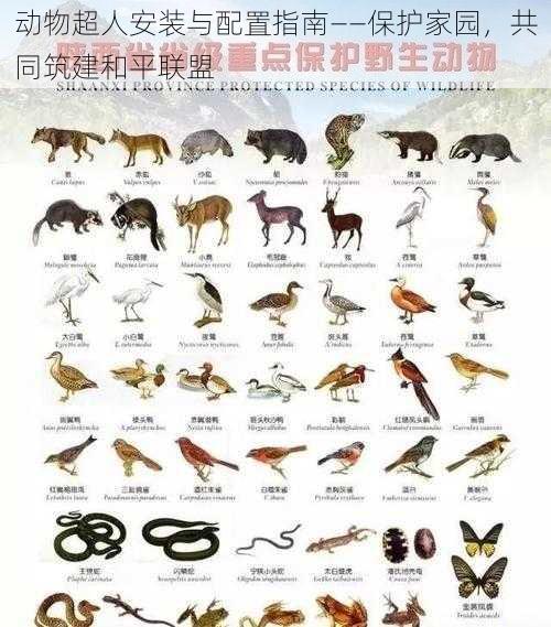 动物超人安装与配置指南——保护家园,共同筑建和平联盟