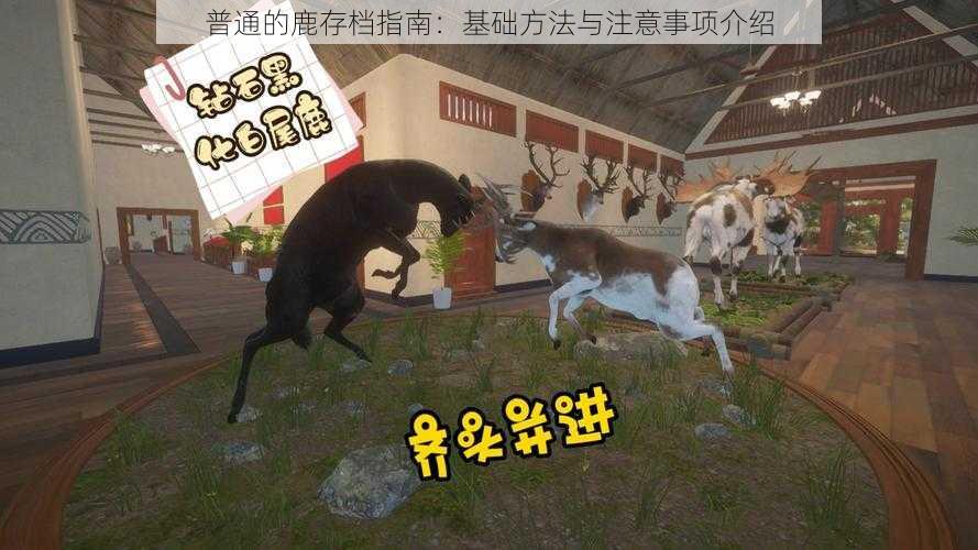 普通的鹿存档指南:基础方法与注意事项介绍