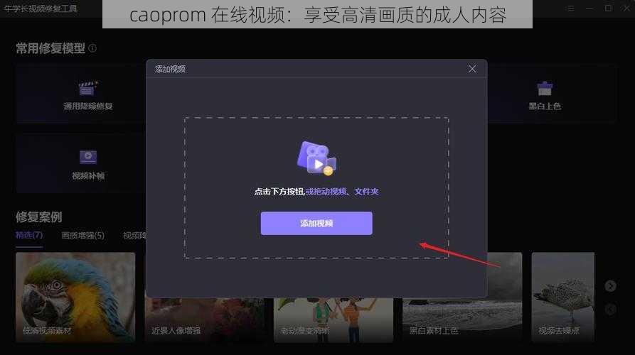 caoprom 在线视频:享受高清画质的成人内容