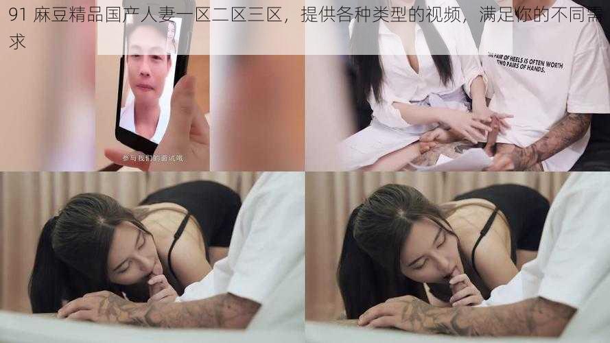 91 麻豆精品国产人妻一区二区三区,提供各种类型的视频,满足你的不同需求