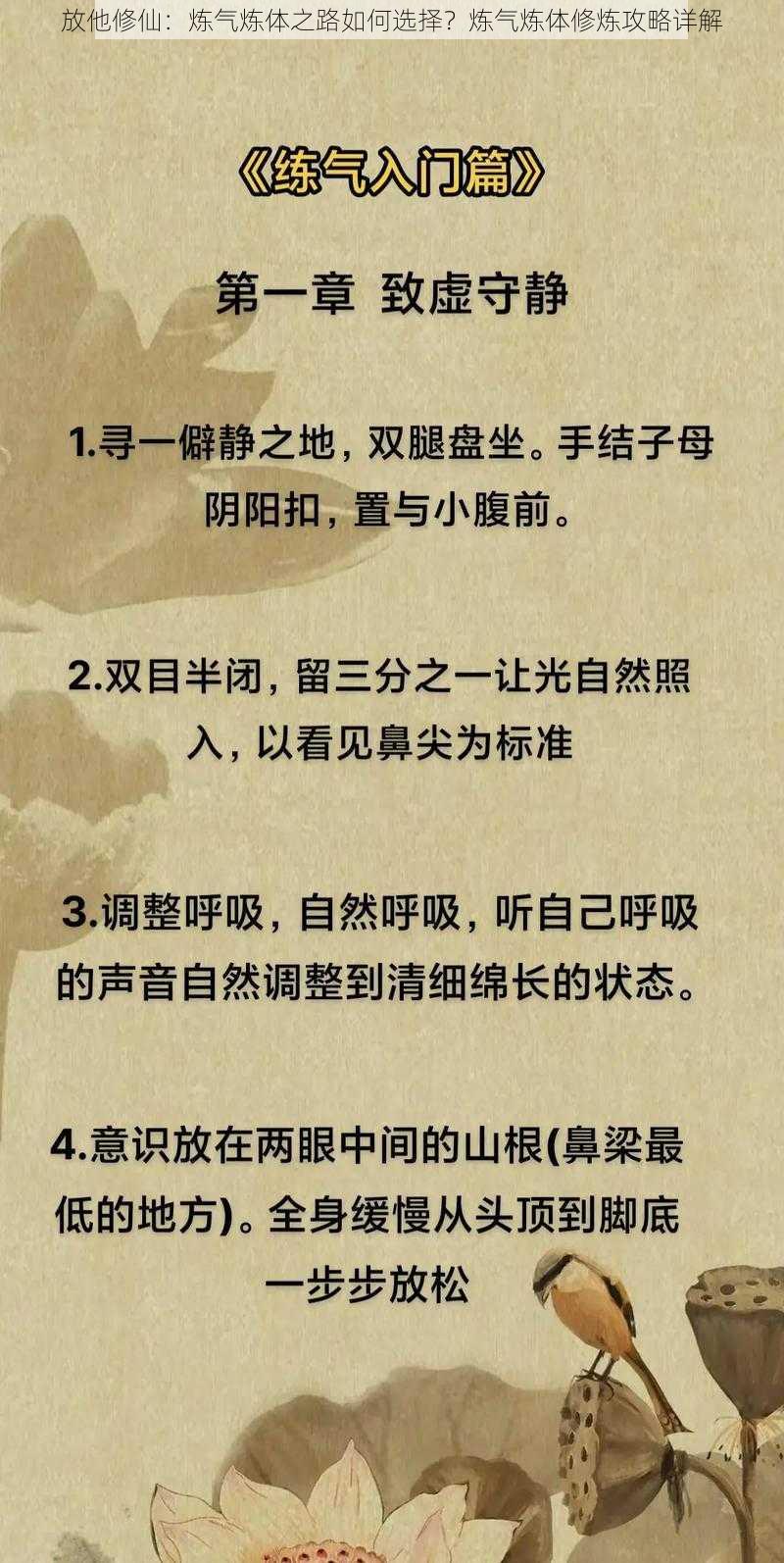 放他修仙:炼气炼体之路如何选择?炼气炼体修炼攻略详解