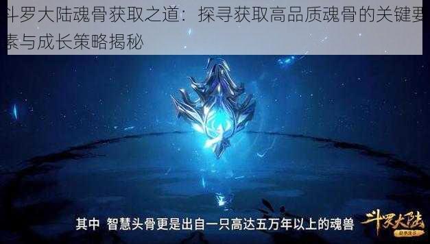 斗罗大陆魂骨获取之道:探寻获取高品质魂骨的关键要素与成长策略揭秘