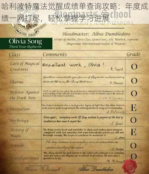 哈利波特魔法觉醒成绩单查询攻略:年度成绩一网打尽,轻松掌握学习进展