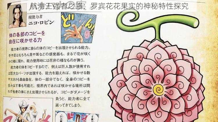 航海王强者之路:罗宾花花果实的神秘特性探究