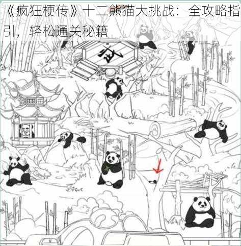 《疯狂梗传》十二熊猫大挑战:全攻略指引,轻松通关秘籍