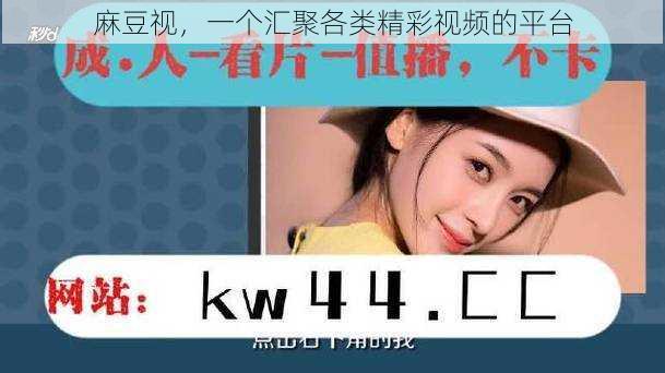 麻豆视,一个汇聚各类精彩视频的平台