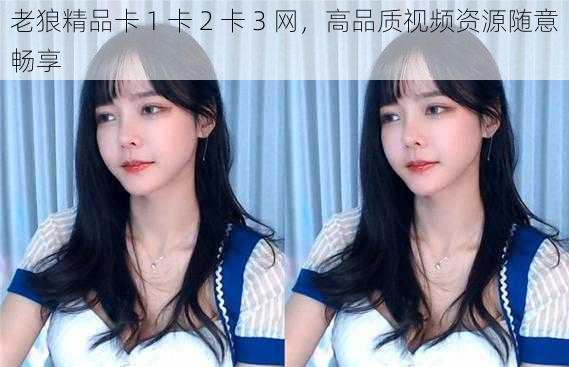 老狼精品卡 1 卡 2 卡 3 网,高品质视频资源随意畅享