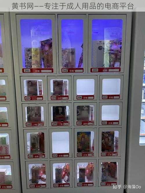 黄书网——专注于成人用品的电商平台