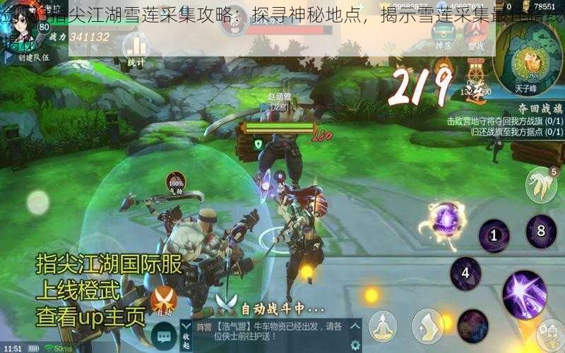 剑网3指尖江湖雪莲采集攻略:探寻神秘地点,揭示雪莲采集最佳路线揭秘