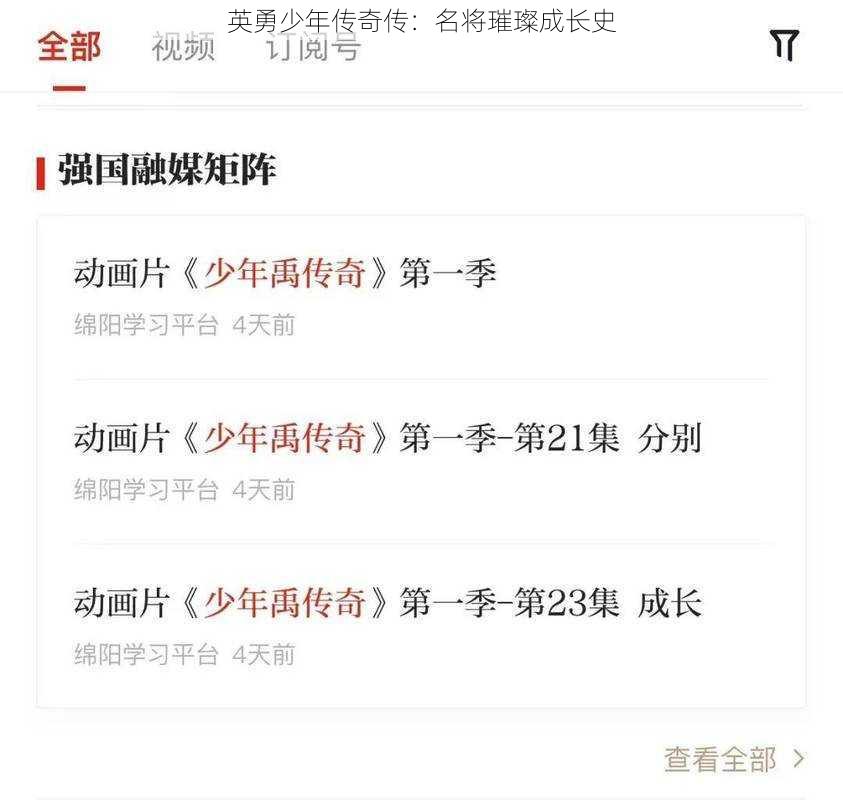 英勇少年传奇传:名将璀璨成长史