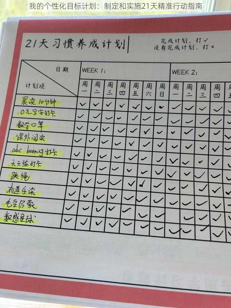 我的个性化目标计划:制定和实施21天精准行动指南