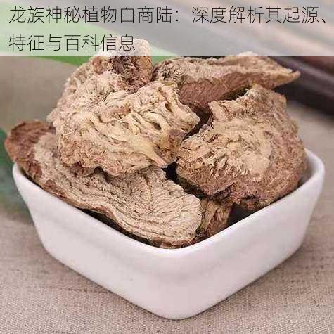 龙族神秘植物白商陆:深度解析其起源、特征与百科信息