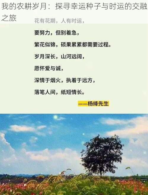 我的农耕岁月:探寻幸运种子与时运的交融之旅