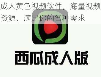 成人黄色视频软件,海量视频资源,满足你的各种需求