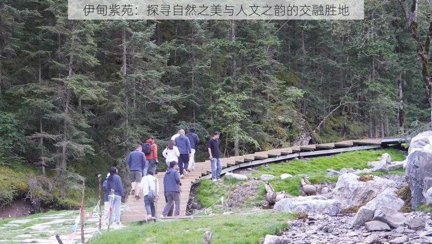 伊甸紫苑:探寻自然之美与人文之韵的交融胜地