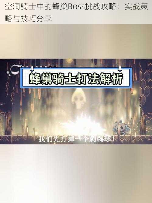 空洞骑士中的蜂巢Boss挑战攻略:实战策略与技巧分享