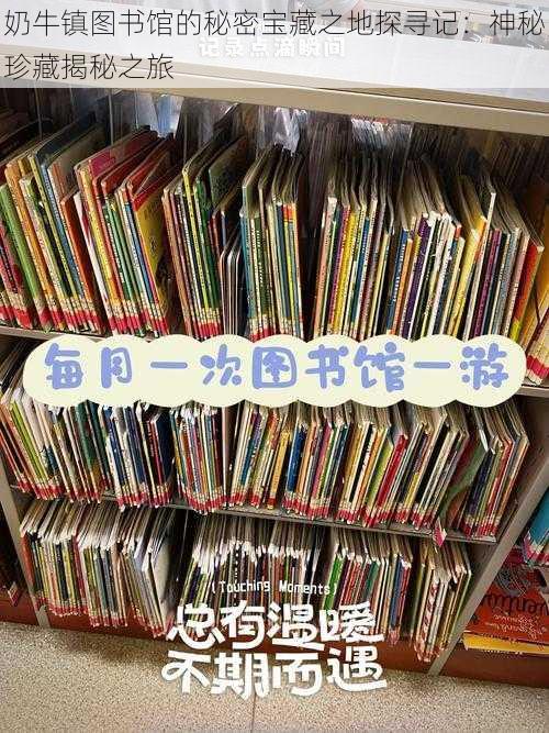 奶牛镇图书馆的秘密宝藏之地探寻记:神秘珍藏揭秘之旅