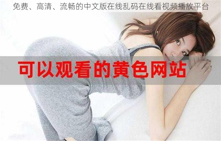 免费、高清、流畅的中文版在线乱码在线看视频播放平台