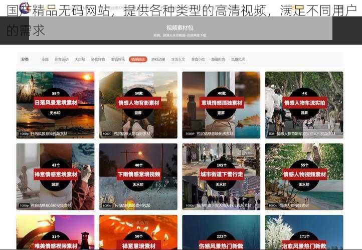 国产精品无码网站,提供各种类型的高清视频,满足不同用户的需求