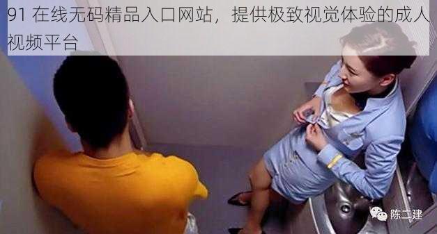 91 在线无码精品入口网站,提供极致视觉体验的成人视频平台