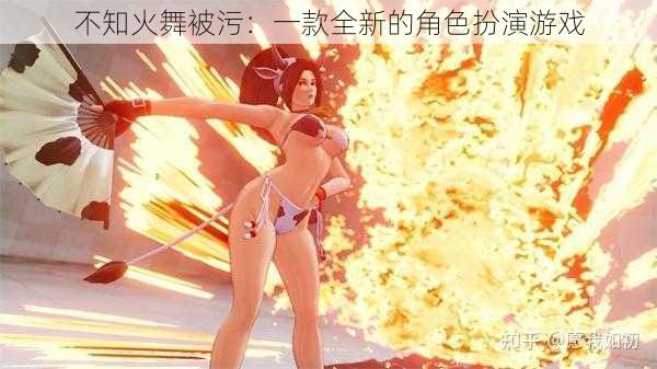不知火舞被污:一款全新的角色扮演游戏