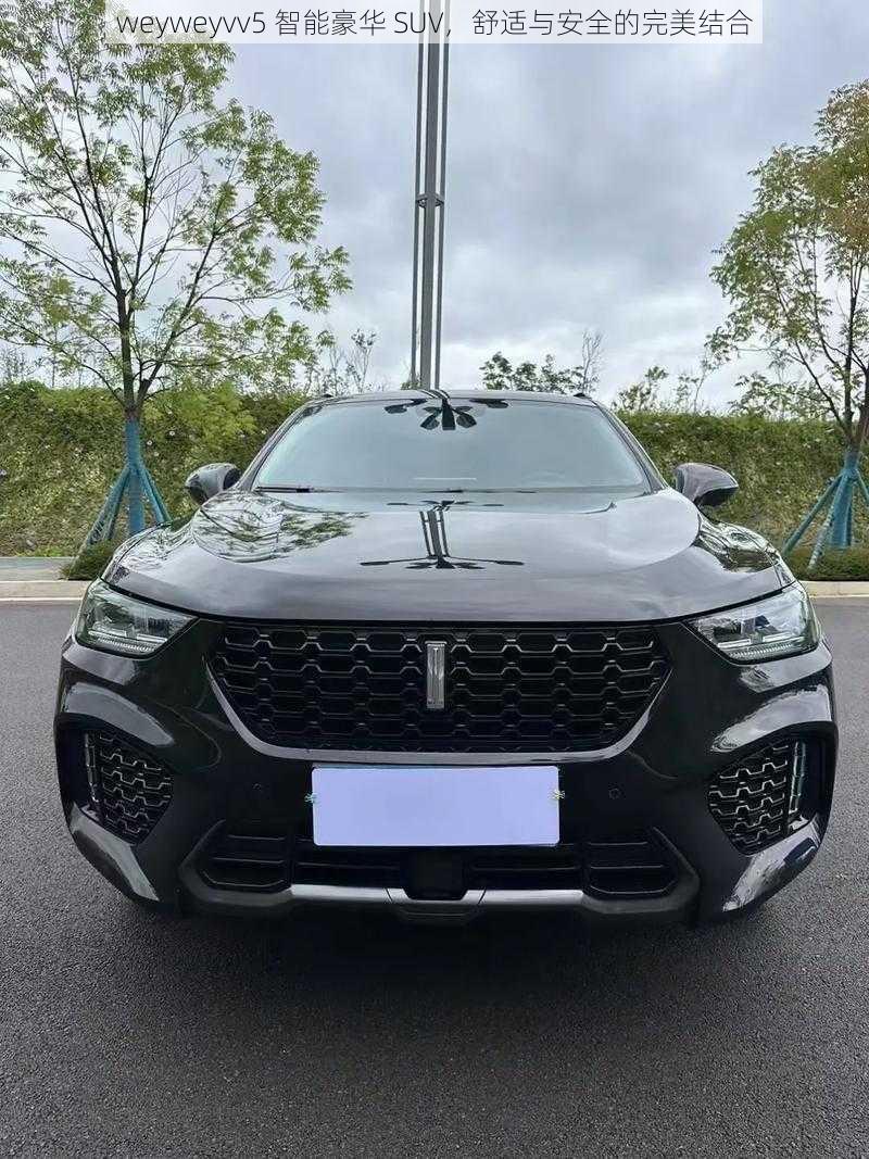 weyweyvv5 智能豪华 SUV,舒适与安全的完美结合