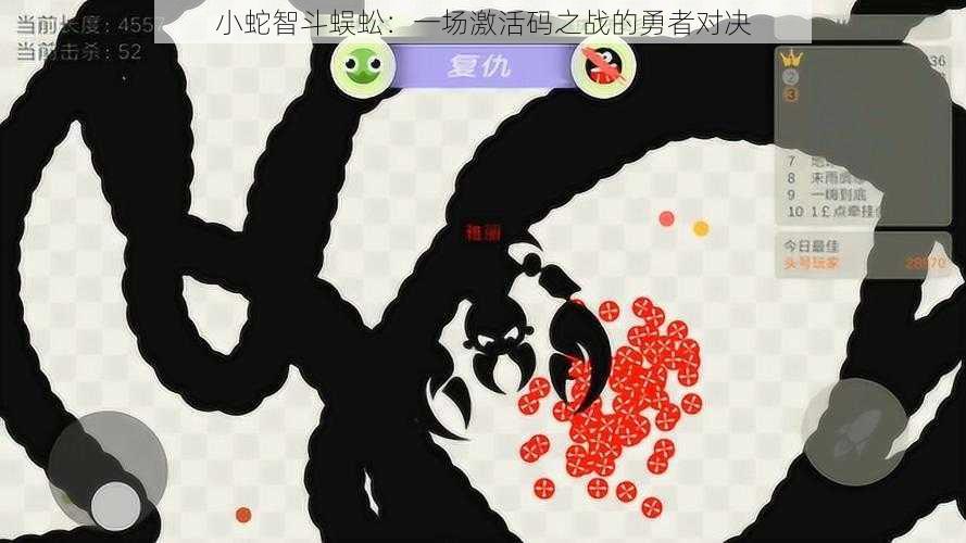 小蛇智斗蜈蚣:一场激活码之战的勇者对决