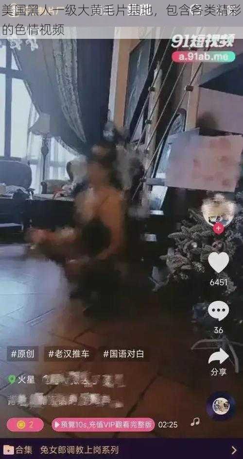 美国黑人一级大黄毛片基地,包含各类精彩的色情视频