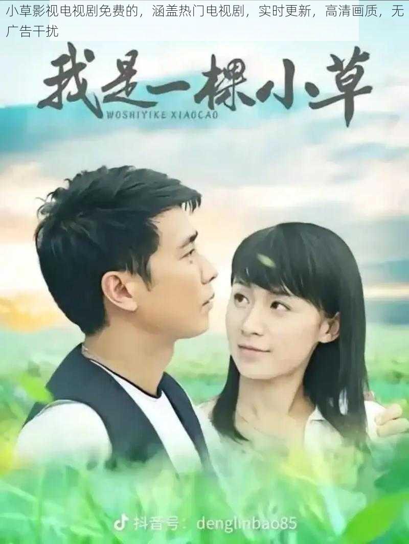 小草影视电视剧免费的,涵盖热门电视剧,实时更新,高清画质,无广告干扰