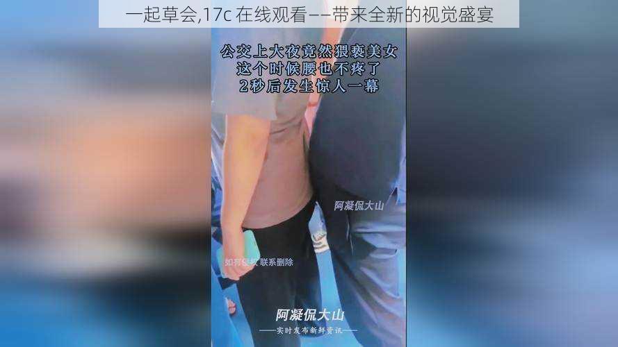 一起草会,17c 在线观看——带来全新的视觉盛宴