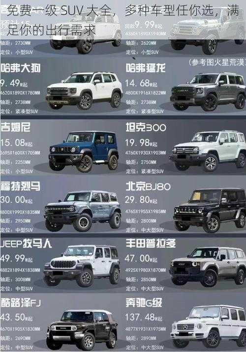 免费一级 SUV 大全,多种车型任你选,满足你的出行需求