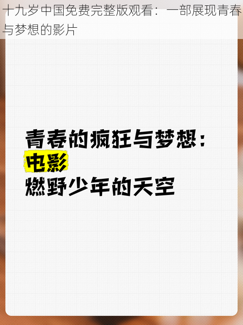 十九岁中国免费完整版观看:一部展现青春与梦想的影片