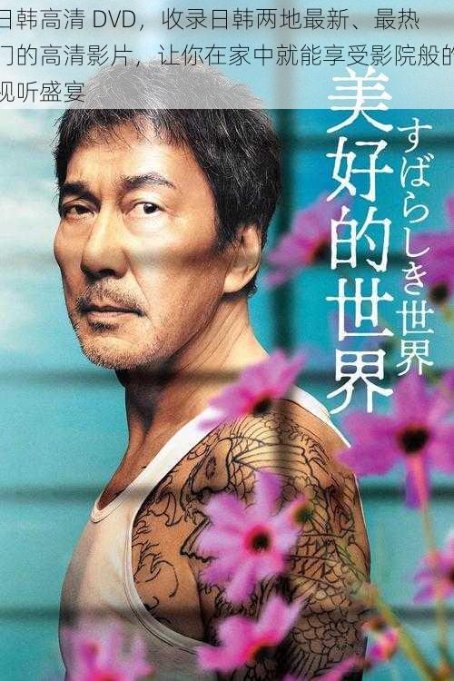 日韩高清 DVD,收录日韩两地最新、最热门的高清影片,让你在家中就能享受影院般的视听盛宴
