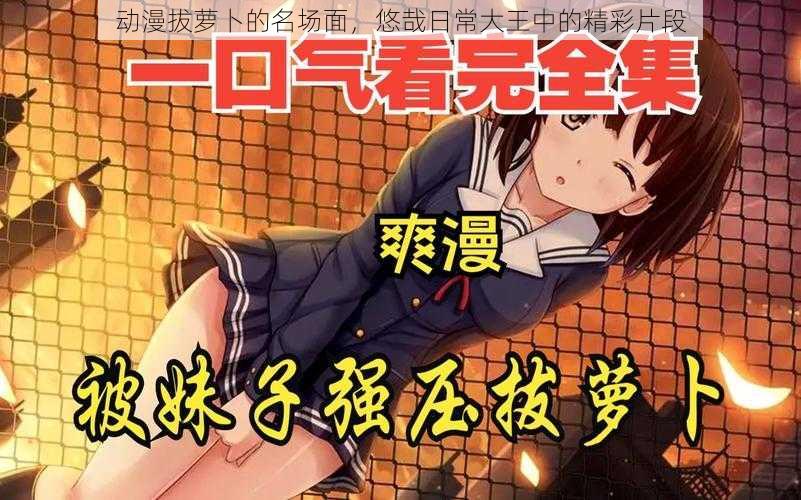 动漫拔萝卜的名场面,悠哉日常大王中的精彩片段
