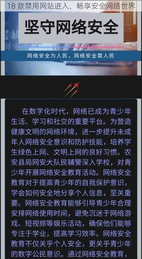 18 款禁用网站进入,畅享安全网络世界