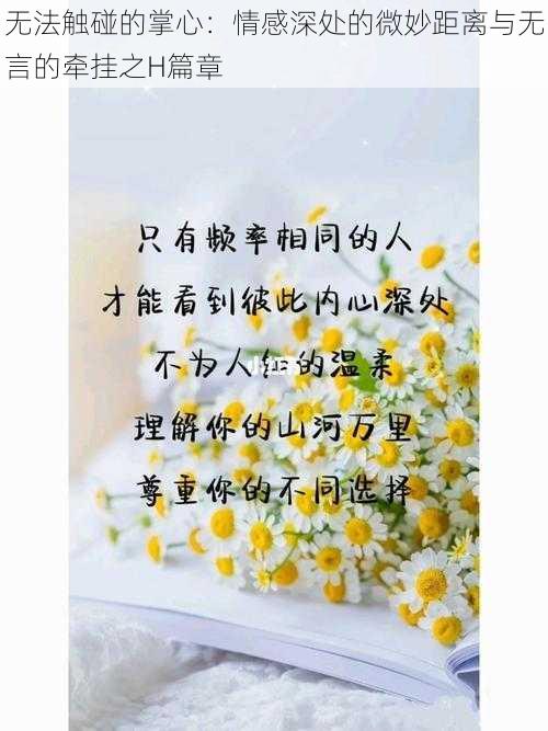 无法触碰的掌心:情感深处的微妙距离与无言的牵挂之H篇章