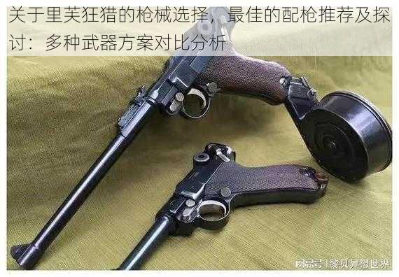关于里芙狂猎的枪械选择,最佳的配枪推荐及探讨:多种武器方案对比分析