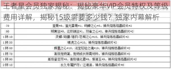 王者星会员独家揭秘:揭秘豪华VIP会员特权及等级费用详解,揭秘15级需要多少钱?独家内幕解析