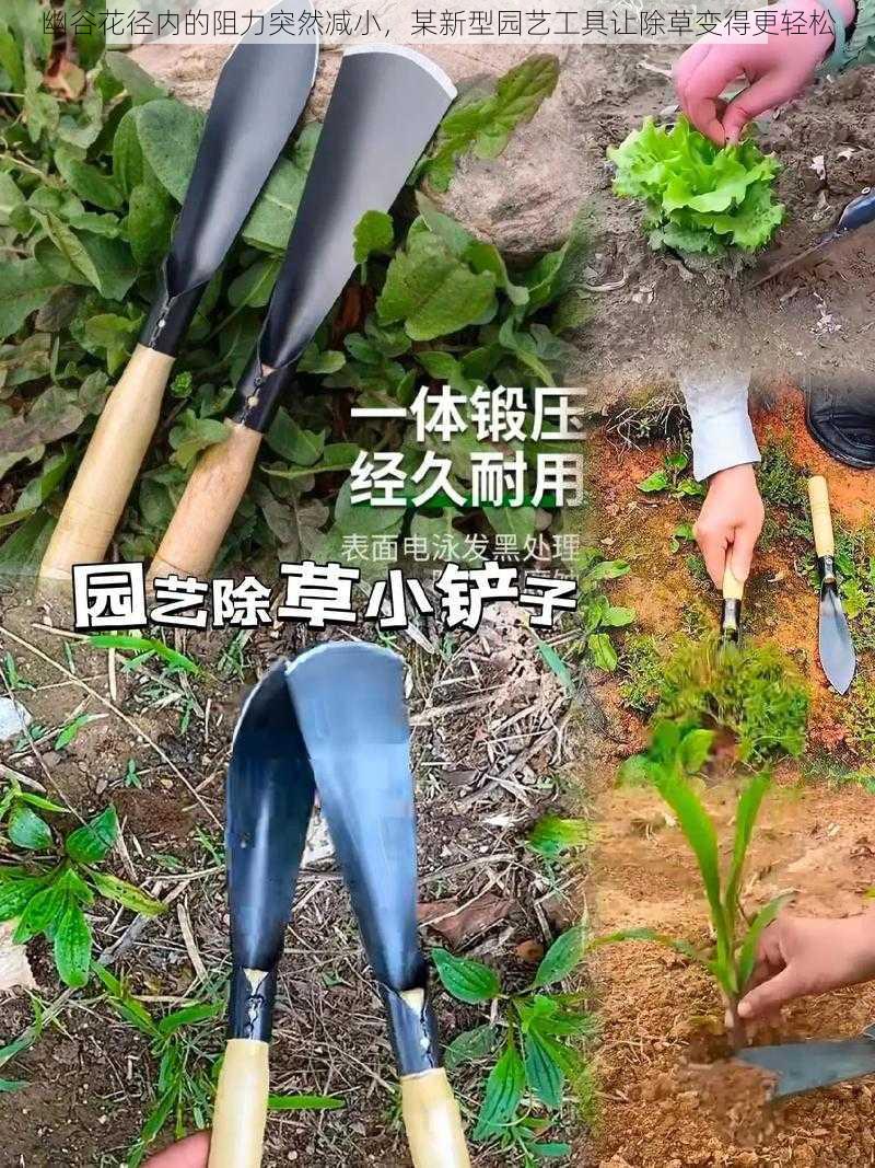 幽谷花径内的阻力突然减小,某新型园艺工具让除草变得更轻松