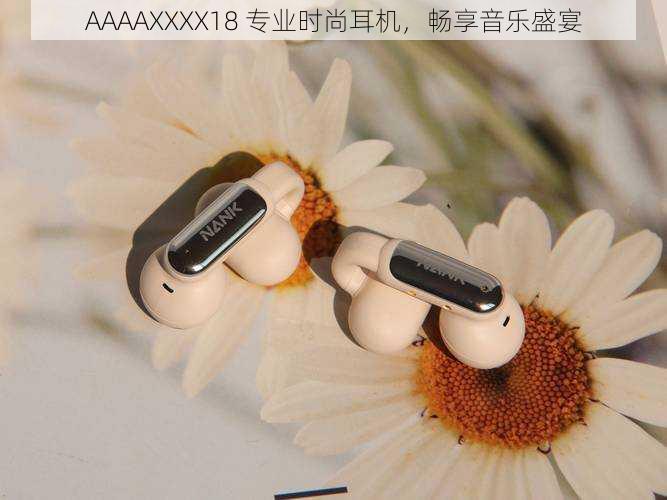 AAAAXXXX18 专业时尚耳机,畅享音乐盛宴